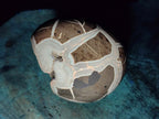 Polished Septerye Sauvage "Dragons Egg" Geodes x 3 From Mahajanga, Madagascar