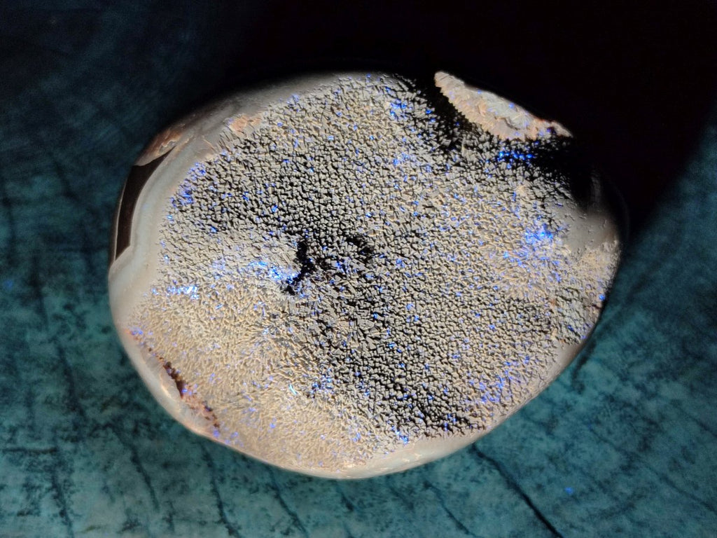 Polished Septerye Sauvage "Dragons Egg" Geodes x 3 From Mahajanga, Madagascar