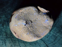 Polished Septerye Sauvage "Dragons Egg" Geodes x 3 From Mahajanga, Madagascar