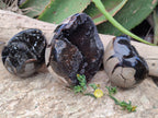 Polished Septerye Sauvage "Dragons Egg" Geodes x 3 From Mahajanga, Madagascar