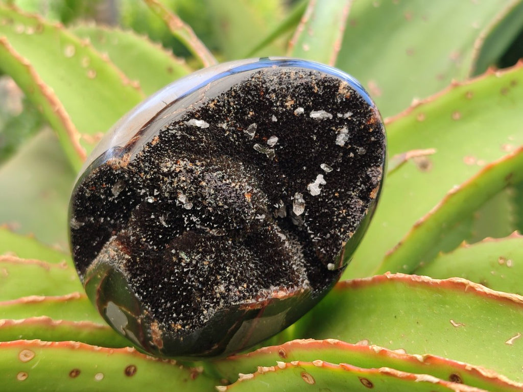 Polished Septerye Sauvage "Dragons Egg" Geodes x 3 From Mahajanga, Madagascar