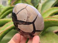 Polished Septerye Sauvage "Dragons Egg" Geodes x 3 From Mahajanga, Madagascar