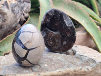 Polished Septerye Sauvage "Dragons Egg" Geodes x 3 From Mahajanga, Madagascar