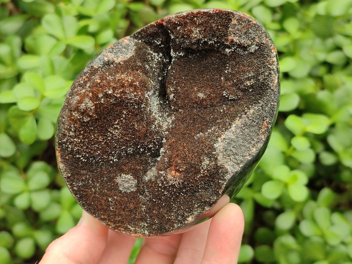 Polished Septerye Sauvage "Dragons Egg" Geodes x 3 From Mahajanga, Madagascar