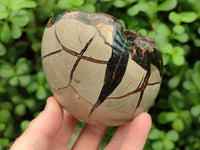 Polished Septerye Sauvage "Dragons Egg" Geodes x 3 From Mahajanga, Madagascar