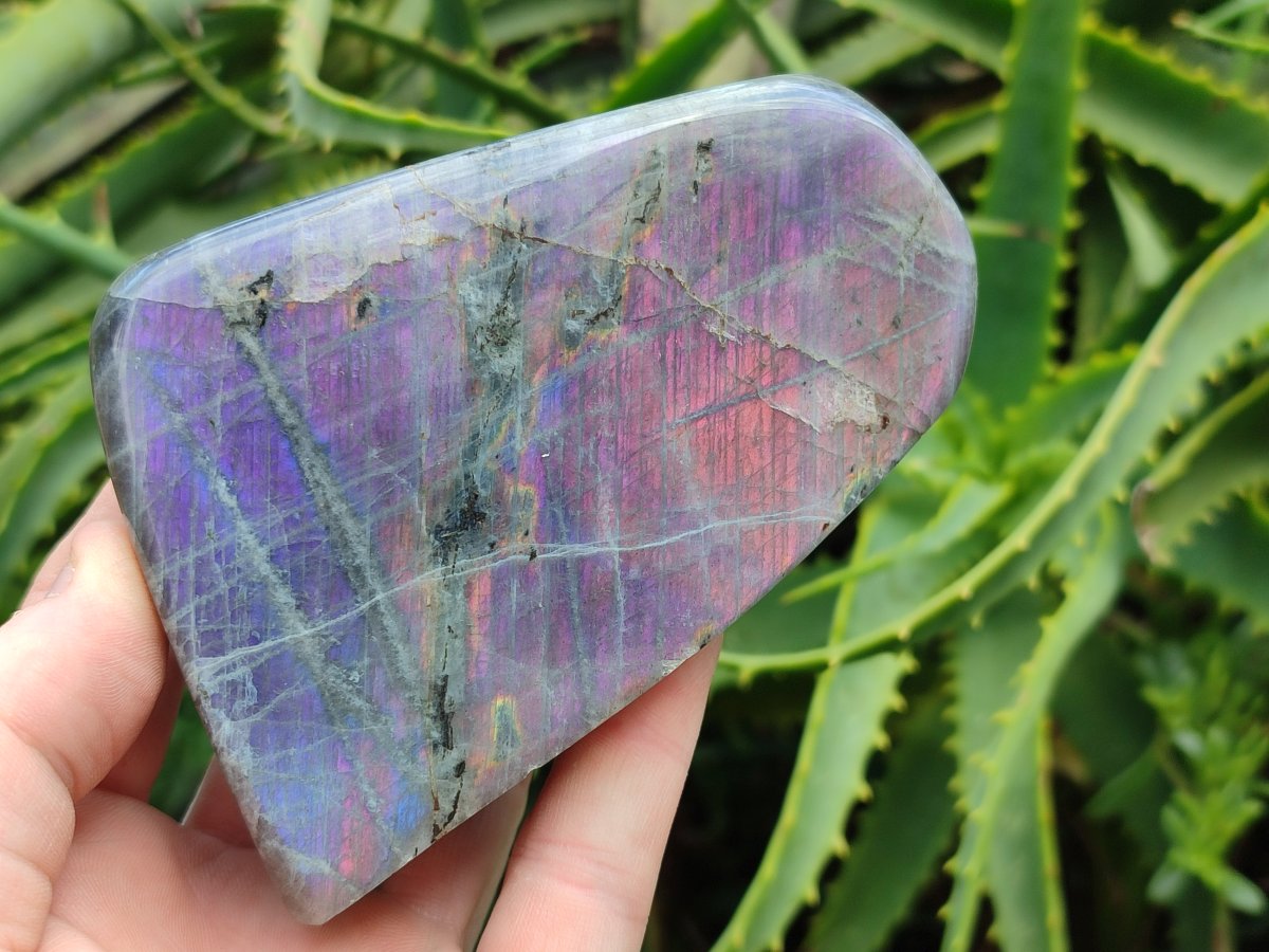 Polished Rare Purple Sunset Flash Labradorite Standing Free Forms x 3 From Madagascar