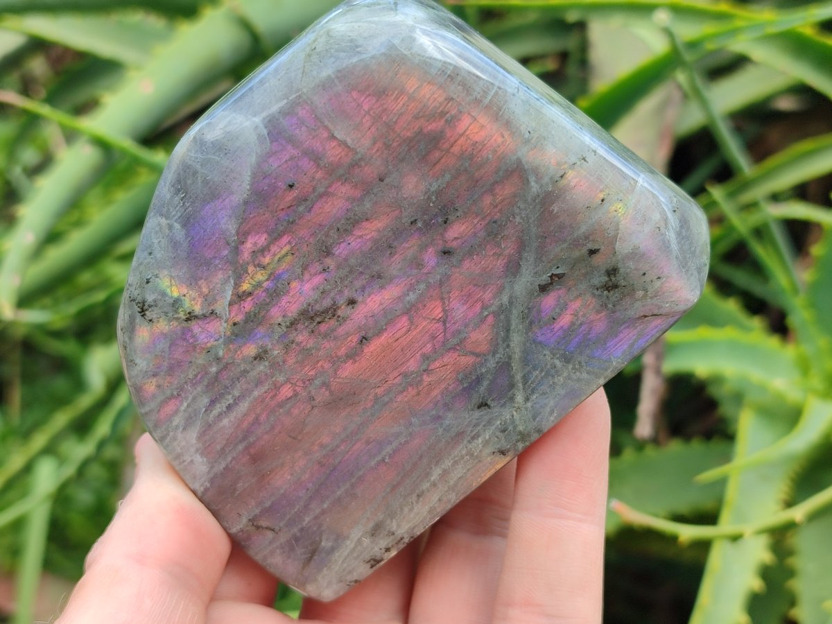 Polished Rare Purple Sunset Flash Labradorite Standing Free Forms x 3 From Madagascar
