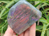 Polished Rare Purple Sunset Flash Labradorite Standing Free Forms x 3 From Madagascar