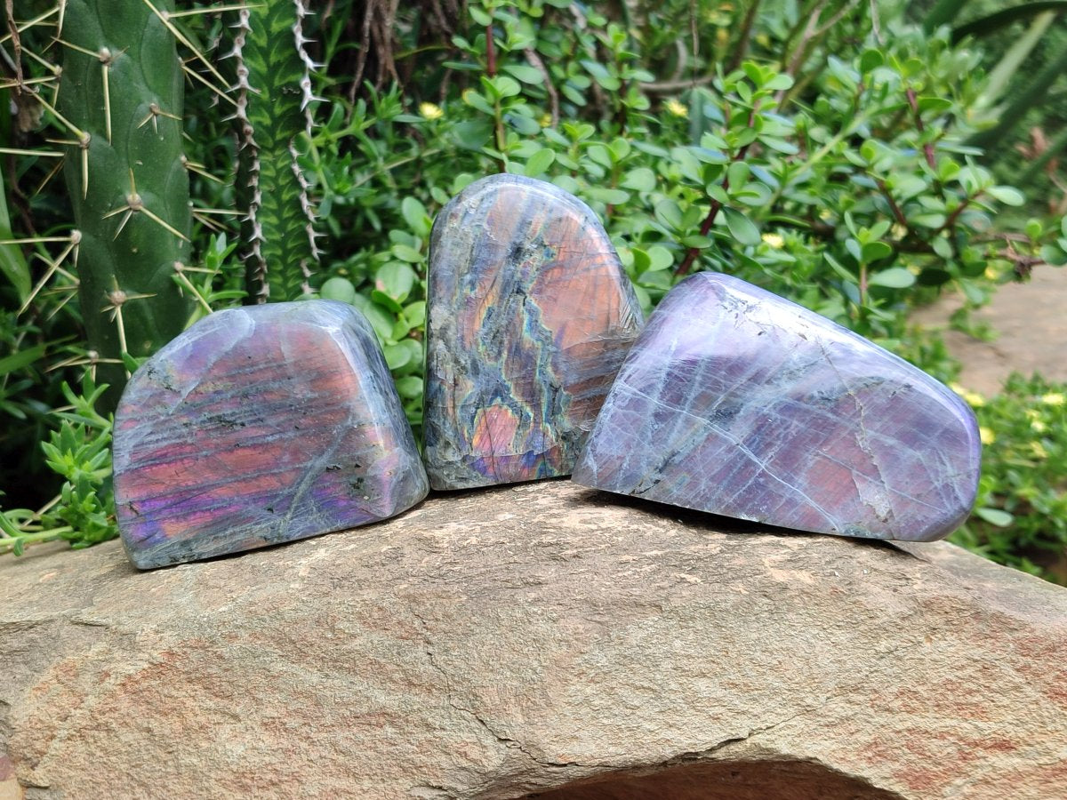 Polished Rare Purple Sunset Flash Labradorite Standing Free Forms x 3 From Madagascar