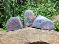 Polished Rare Purple Sunset Flash Labradorite Standing Free Forms x 3 From Madagascar