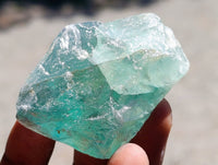 Natural Watermelon Fluorite Cobbed Specimens x 24 From Uis, Namibia