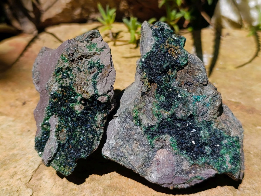 Natural Libethenite Crystals On Dolomite Matrix Specimens x 6 From Shituru, Congo