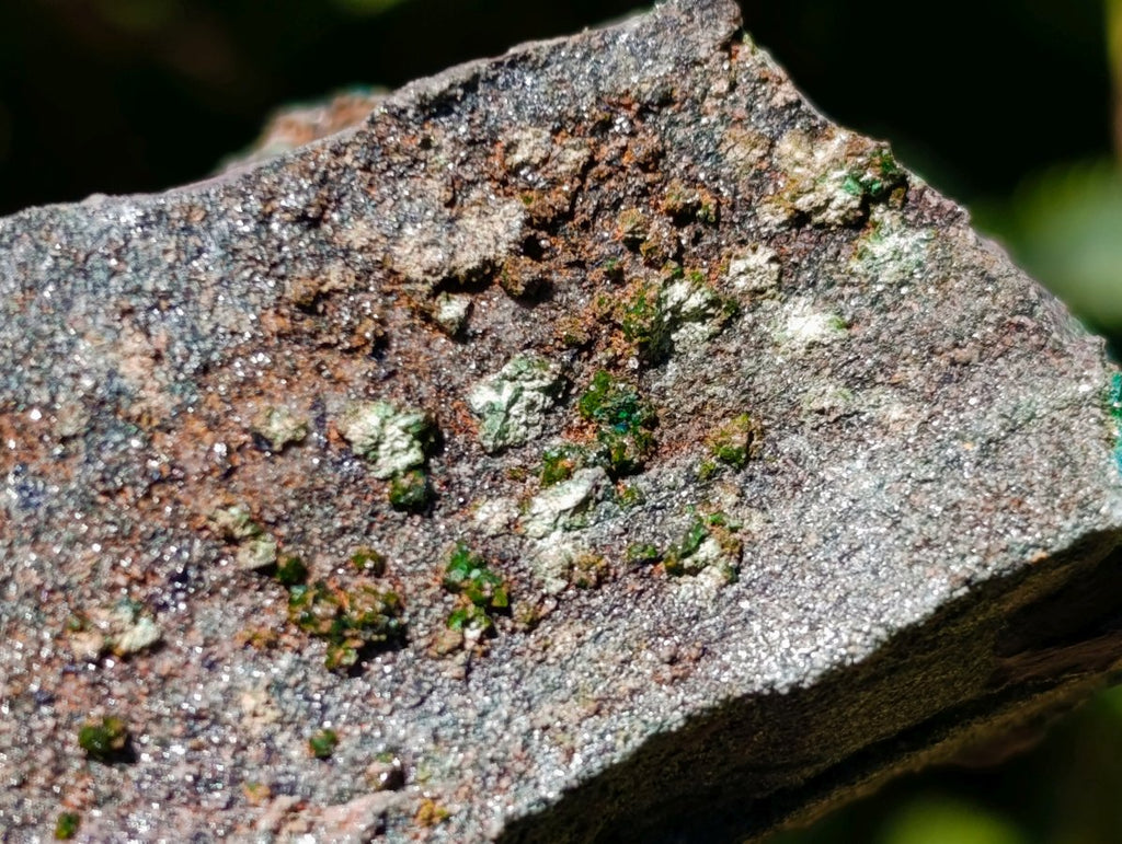 Natural Libethenite Crystals On Dolomite Matrix Specimens x 6 From Shituru, Congo