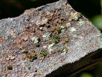 Natural Libethenite Crystals On Dolomite Matrix Specimens x 6 From Shituru, Congo