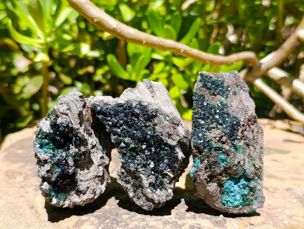 Natural Libethenite Crystals On Dolomite Matrix Specimens x 6 From Shituru, Congo