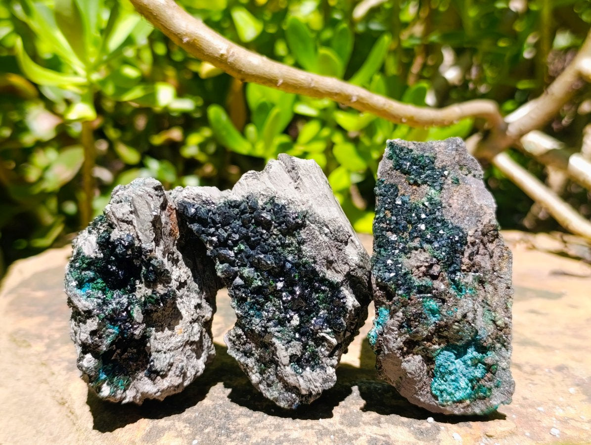 Natural Libethenite Crystals On Dolomite Matrix Specimens x 6 From Shituru, Congo