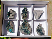 Natural Libethenite Crystals On Dolomite Matrix Specimens x 6 From Shituru, Congo
