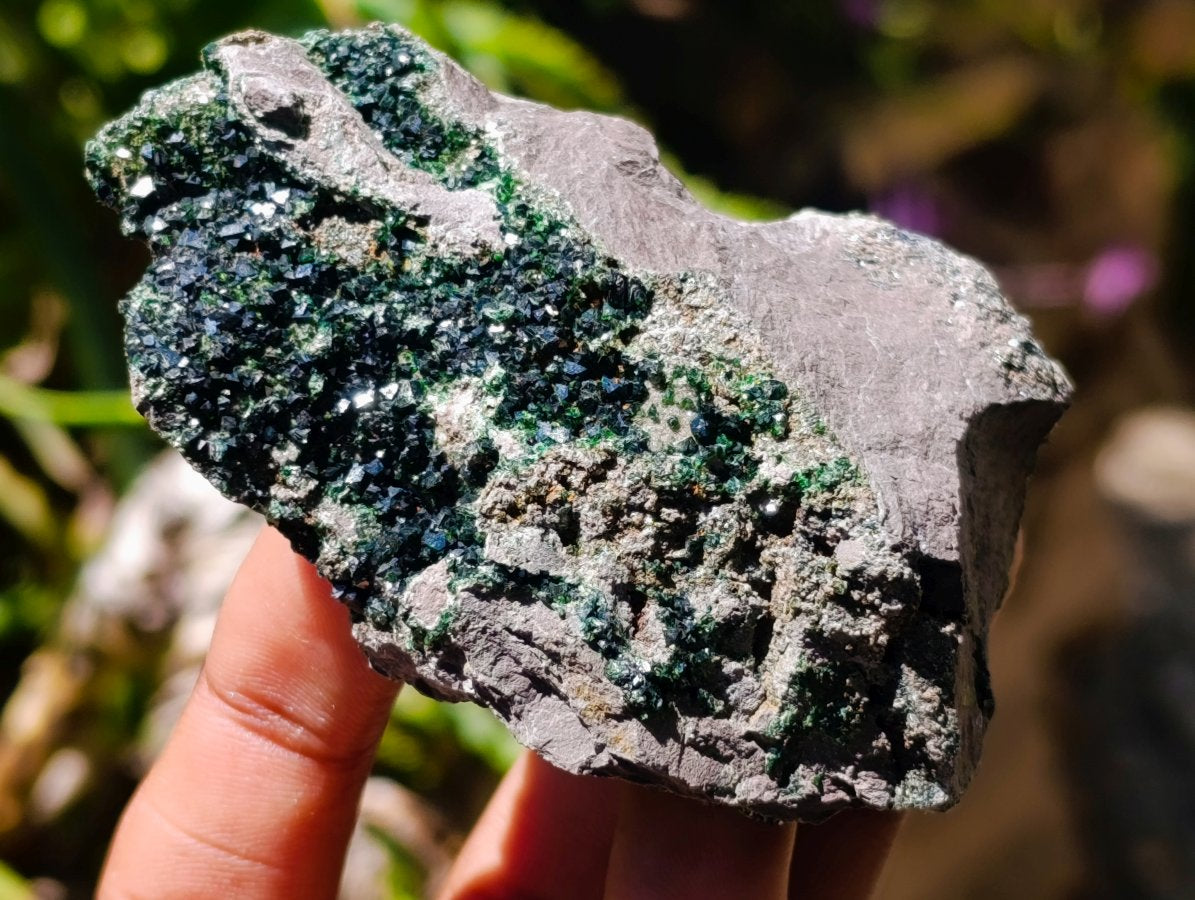 Natural Libethenite Crystals On Dolomite Matrix Specimens x 6 From Shituru, Congo