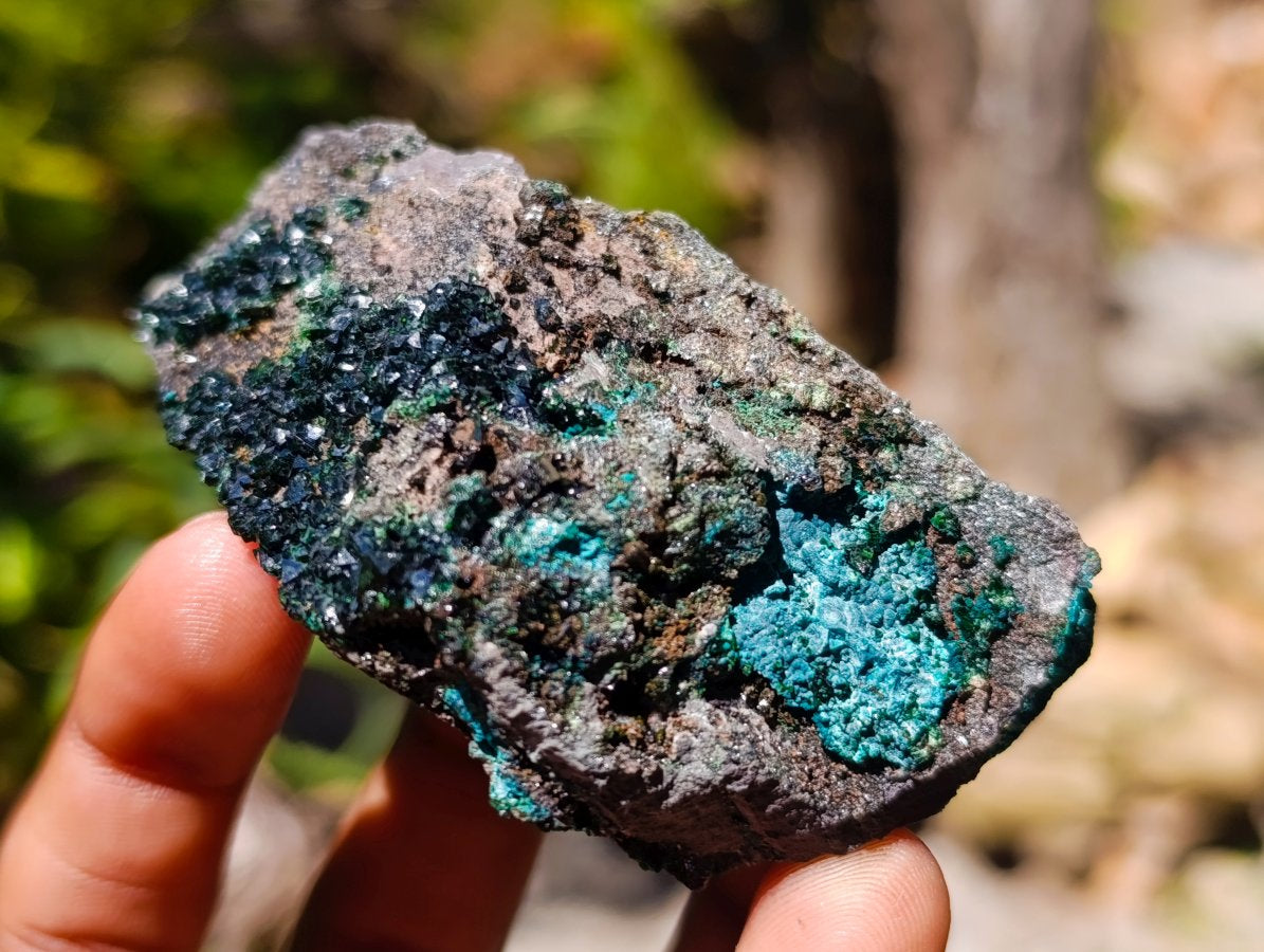 Natural Libethenite Crystals On Dolomite Matrix Specimens x 6 From Shituru, Congo