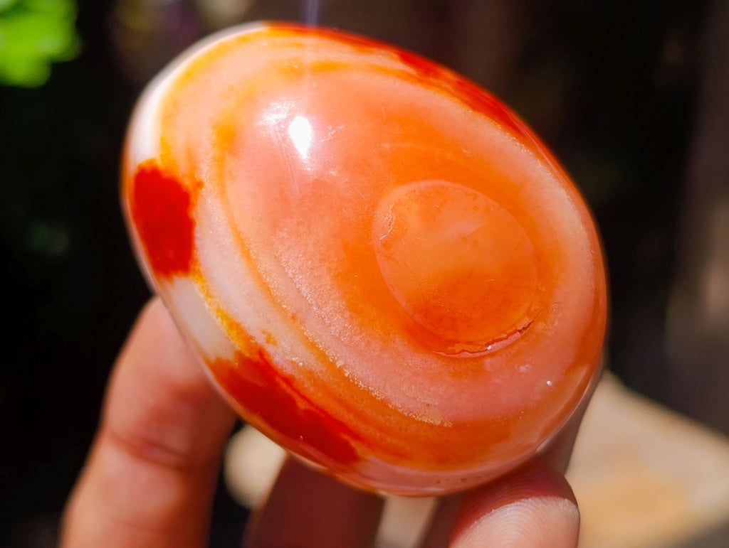 Polished Carnelian Agate Gemstone Galets x 24 From Madagascar