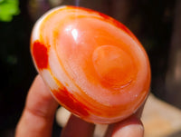 Polished Carnelian Agate Gemstone Galets x 24 From Madagascar