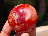 Polished Carnelian Agate Gemstone Galets x 24 From Madagascar