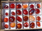 Polished Carnelian Agate Gemstone Galets x 24 From Madagascar