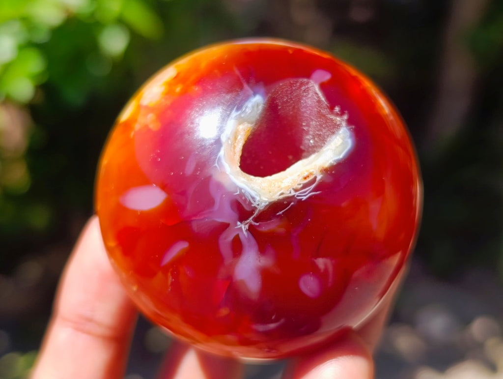 Polished Carnelian Agate Gemstone Galets x 24 From Madagascar