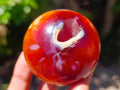 Polished Carnelian Agate Gemstone Galets x 24 From Madagascar