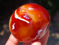 Polished Carnelian Agate Gemstone Galets x 24 From Madagascar