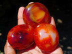 Polished Carnelian Agate Gemstone Galets x 24 From Madagascar