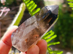 Polished Smokey Window Quartz Crystals x 12 From Madagascar