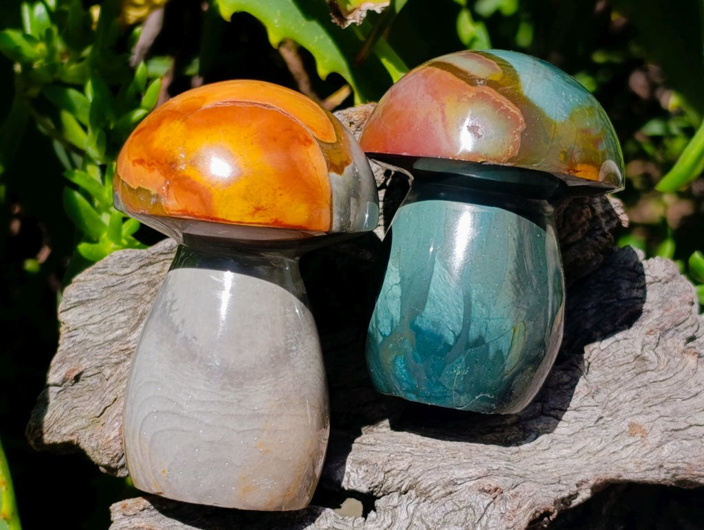Polished Polychrome Jasper Mushrooms x 12 From NW Coast, Madagascar