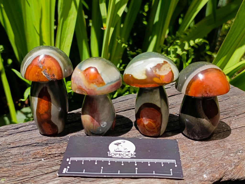 Polished Polychrome Jasper Mushrooms x 12 From NW Coast, Madagascar