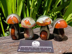 Polished Polychrome Jasper Mushrooms x 12 From NW Coast, Madagascar