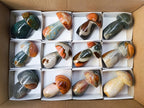 Polished Polychrome Jasper Mushrooms x 12 From NW Coast, Madagascar