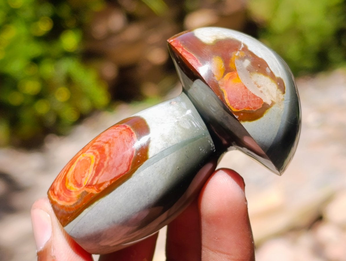 Polished Polychrome Jasper Mushrooms x 12 From NW Coast, Madagascar