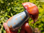 Polished Polychrome Jasper Mushrooms x 12 From NW Coast, Madagascar