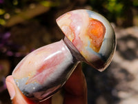 Polished Polychrome Jasper Mushrooms x 12 From NW Coast, Madagascar