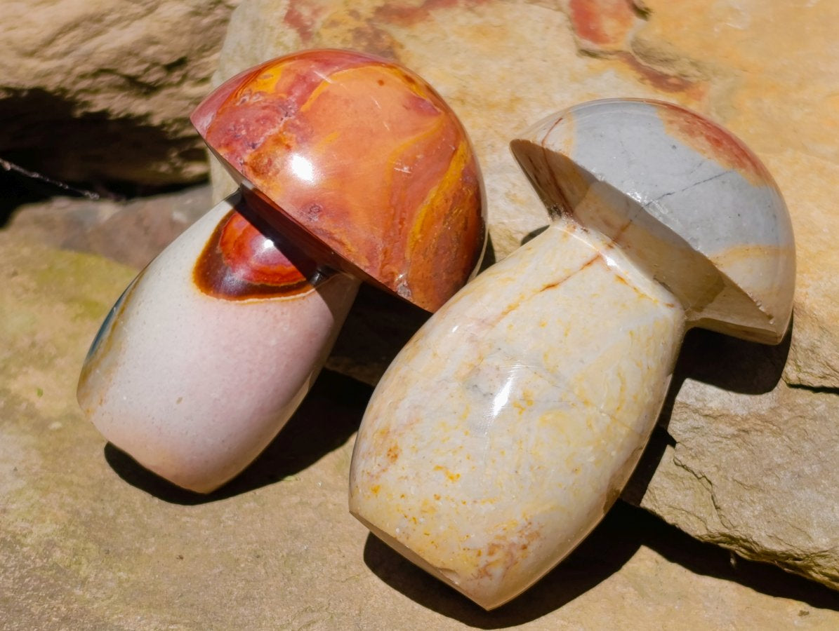 Polished Polychrome Jasper Mushrooms x 12 From NW Coast, Madagascar