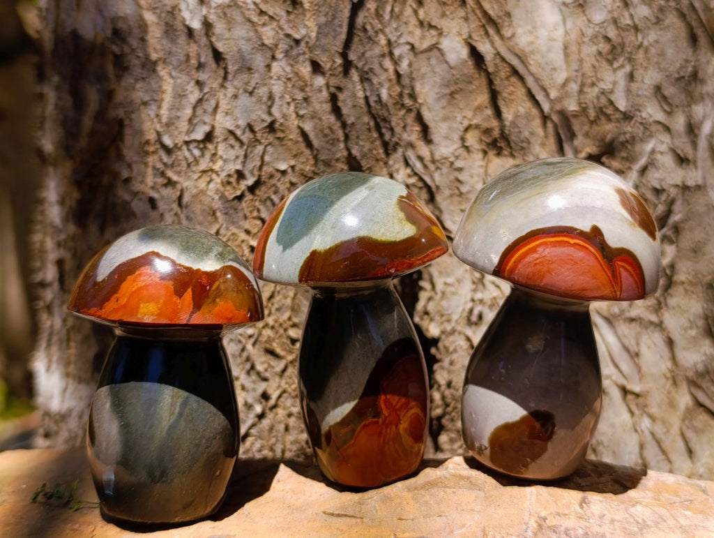 Polished Polychrome Jasper Mushrooms x 12 From NW Coast, Madagascar