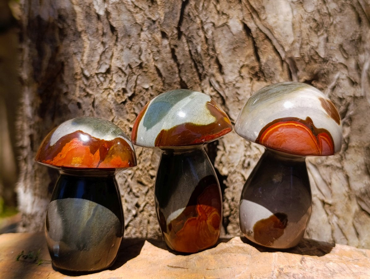 Polished Polychrome Jasper Mushrooms x 12 From NW Coast, Madagascar