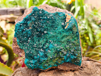 Natural Large Dioptase On Dolomite Specimen with Malachite x 1 From Likasi, Congo