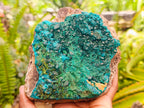 Natural Large Dioptase On Dolomite Specimen with Malachite x 1 From Likasi, Congo