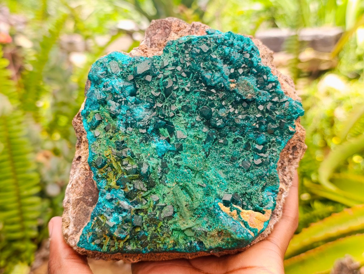 Natural Large Dioptase On Dolomite Specimen with Malachite x 1 From Likasi, Congo