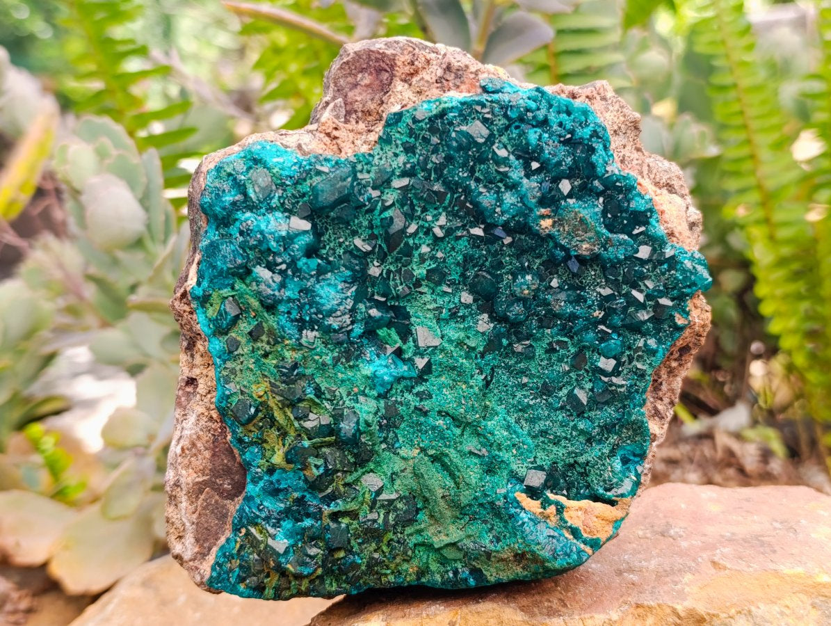 Natural Large Dioptase On Dolomite Specimen with Malachite x 1 From Likasi, Congo
