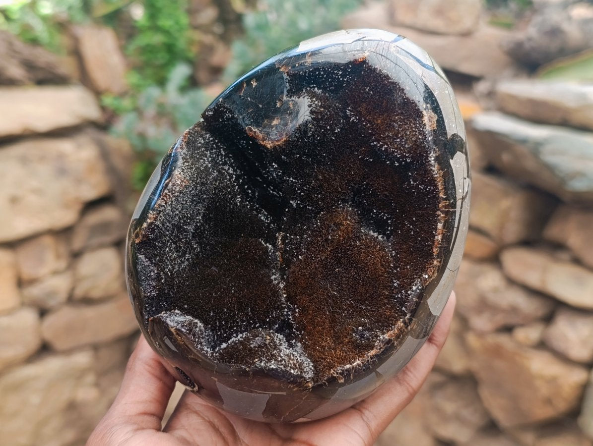 Polished Large Septerye Sauvage "Dragons Egg" Geode x 1 From Mahajanga, Madagascar