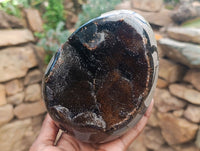 Polished Large Septerye Sauvage "Dragons Egg" Geode x 1 From Mahajanga, Madagascar