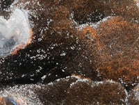 Polished Large Septerye Sauvage "Dragons Egg" Geode x 1 From Mahajanga, Madagascar