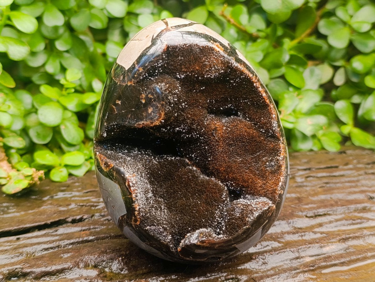 Polished Large Septerye Sauvage "Dragons Egg" Geode x 1 From Mahajanga, Madagascar